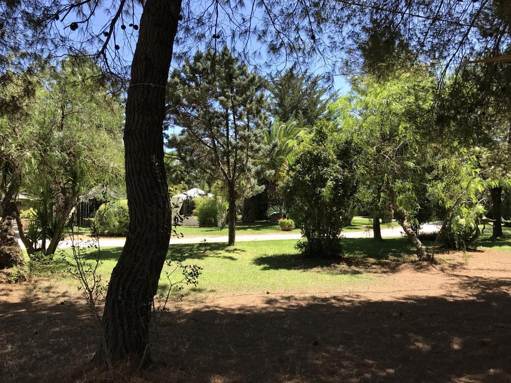 B&B Tenuta Paradisi Copertino Buitenkant foto