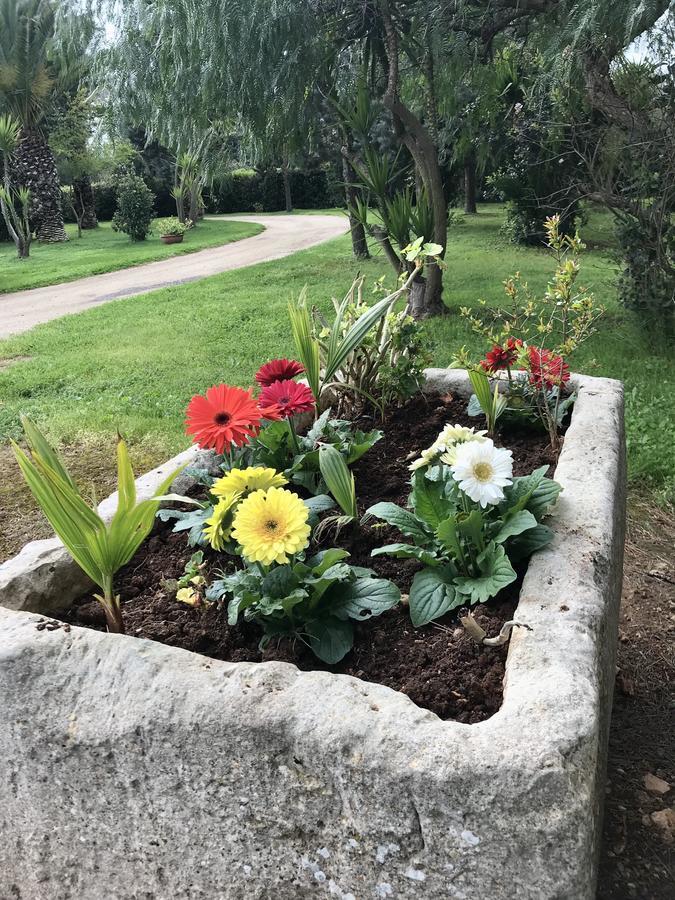 B&B Tenuta Paradisi Copertino Buitenkant foto